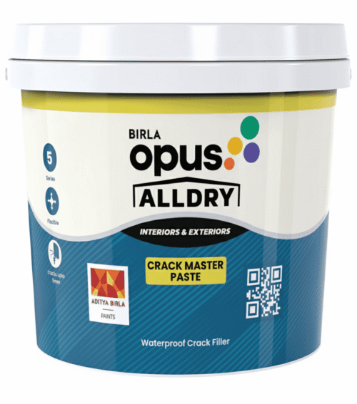 Birla Opus - AllDry Crack Master Paste