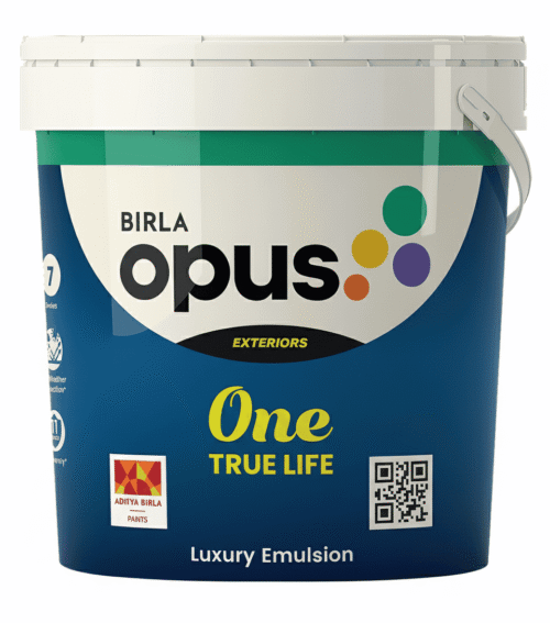 Birla Opus - One True Life